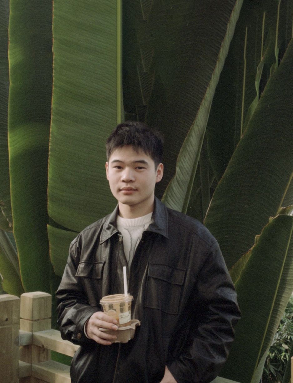 刘想